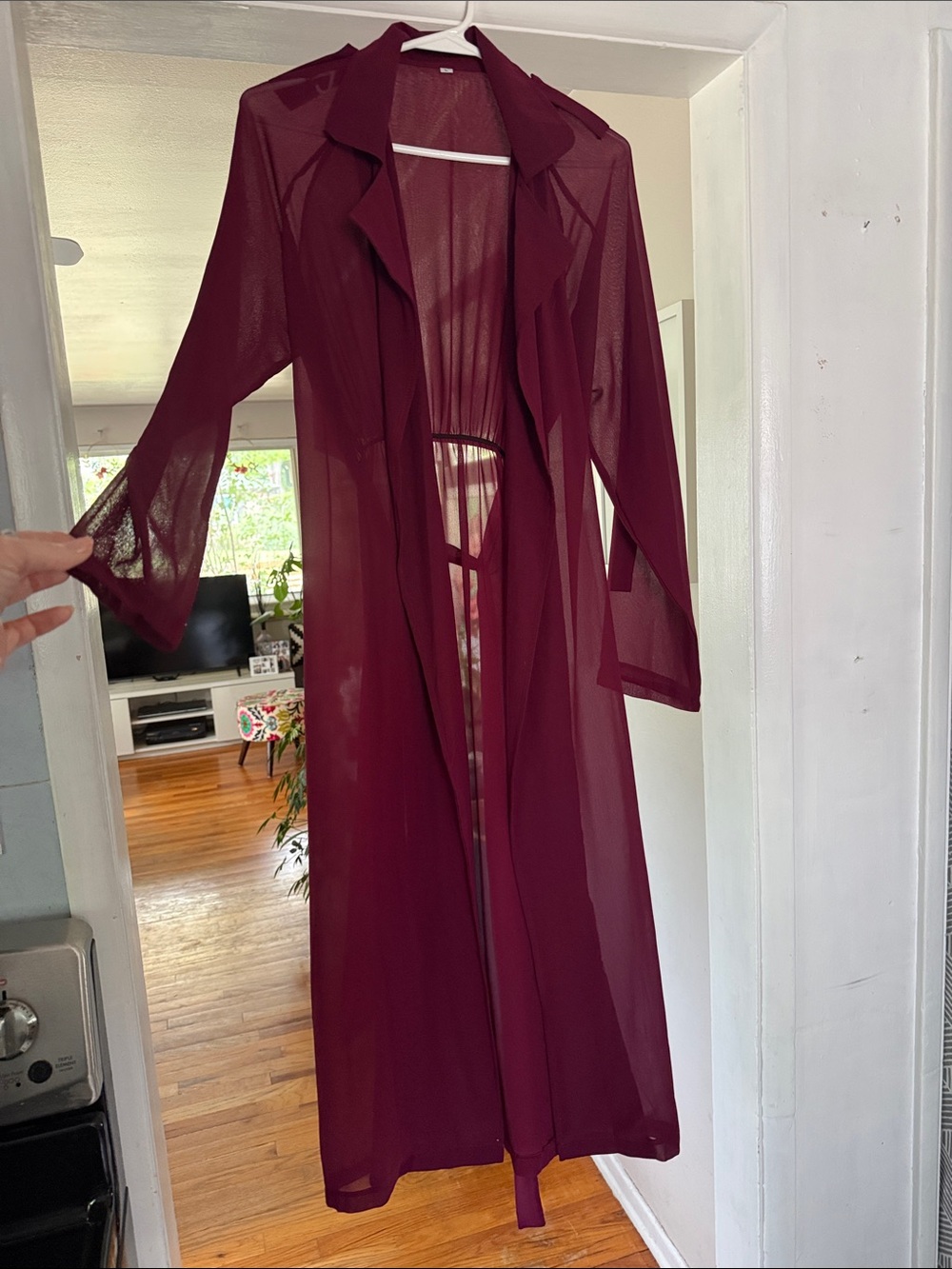 Sheer Burgundy sheer trench